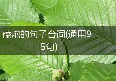 磕炮语录|磕炮的句子台词(通用95句)